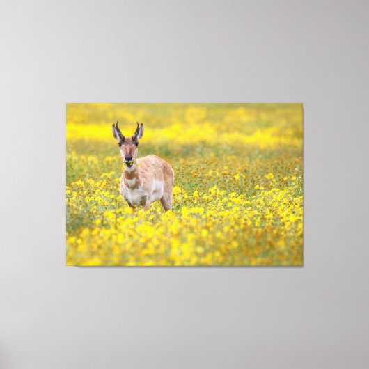 Wildflower diner canvas afdruk (Voorkant)