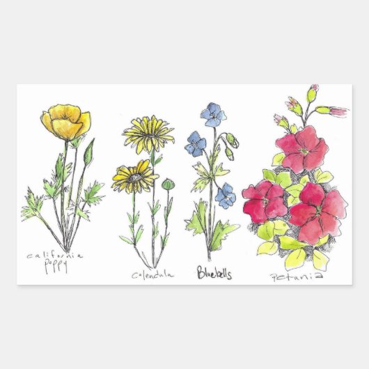 Wildflower Drawing Black Ink Pen Waterverf Art Rechthoekige Sticker (Voorkant)
