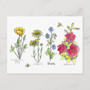 Wildflower Garden Botanische Waterverf Art Bees Briefkaart