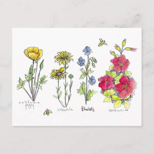Wildflower Garden Botanische Waterverf Art Bees Briefkaart (Voorkant)