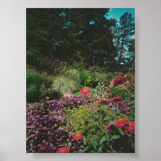  Wildflower Garden Poster (Voorkant)
