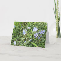 Wildflower gevouwen Wenskaart