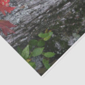 Wildflower Happy Birthday Tissuepapier (Detail)