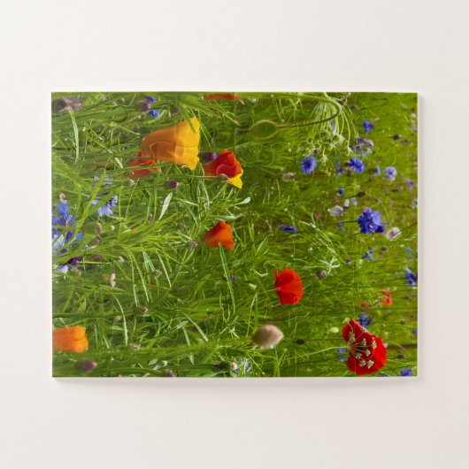 Wildflower Harmony | Dunvegan Meadow, Isle of Skye Legpuzzel (Horizontaal)