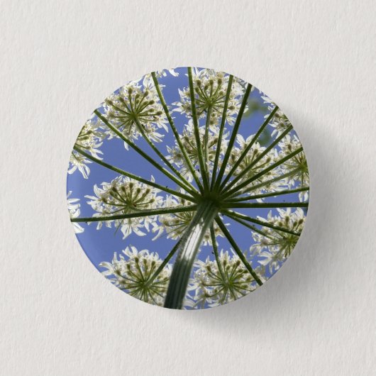 Wildflower Hogsweed Flower Button / Badge (Voorkant)
