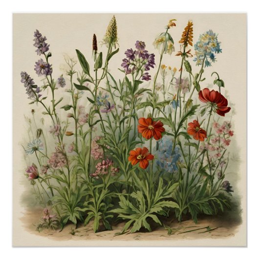 Wildflower Illustratie Perfect Poster (Voorkant)