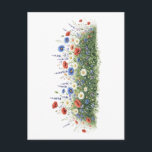 Wildflower meadow botanical garden flowers briefkaart<br><div class="desc">Natural wildflower meadow with delicate botanical blossoms. A colorful mix of meadow flowers and daisies creates a lively spring nature scene inspired by blooming fields.</div>