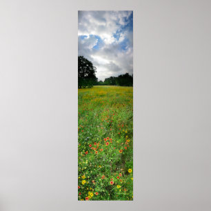 Wildflower Meadow - Butler Trail - Austin Texas Poster