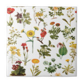  Wildflower Naadloos Patroon Tegeltje (Voorkant)