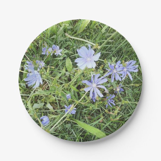 Wildflower papier Bord (Voorkant)