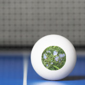 Wildflower Ping Pong Ball (Net)