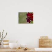Wildflower Poster 1 (Keuken)
