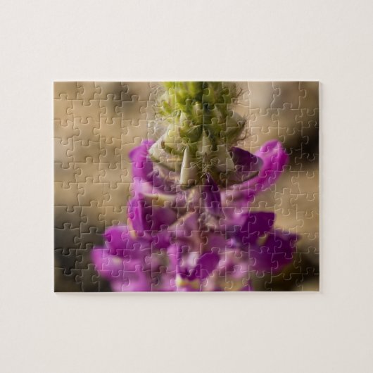 Wildflower puzzel 4 (Horizontaal)