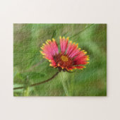 Wildflower Puzzel Indische Deken Bloem Rode Bloem Legpuzzel (Horizontaal)