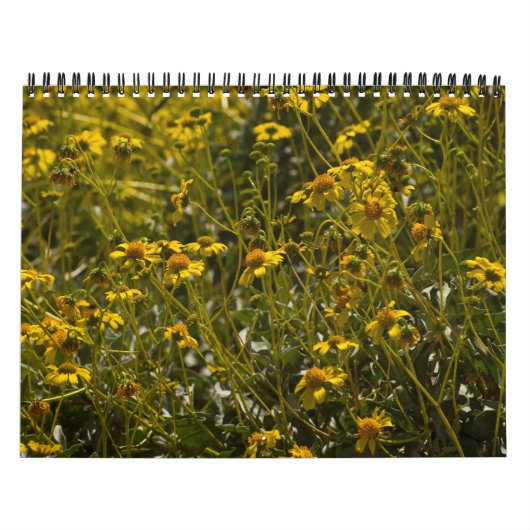 Wildflower Schrift 2015 Kalender (Hoes)