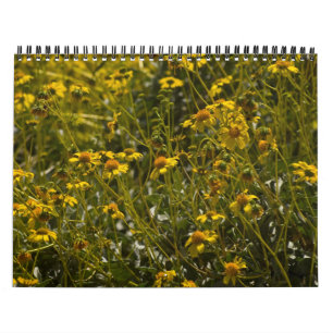 Wildflower Schrift 2015 Kalender