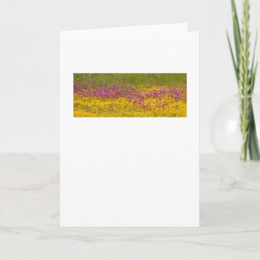 Wildflower Superbloom Wenskaart Kaart (Voorkant)