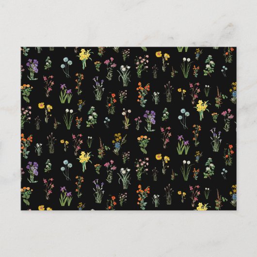 Wildflower Waterverf Zwart Botanisch Bloemen Feestdagenkaart (Voorkant)