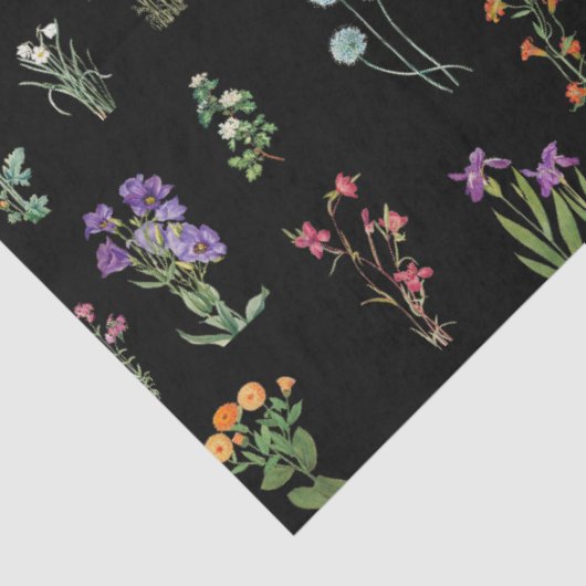 Wildflower Waterverf Zwart Botanisch Bloemen Tissuepapier (Detail)