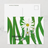 Wildflower Week Daisy Briefkaart (Voorkant / Achterkant)