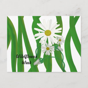 Wildflower Week Daisy Briefkaart