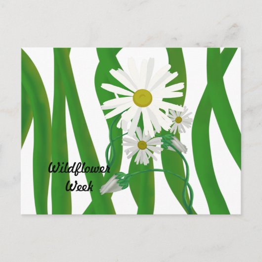 Wildflower Week Daisy Briefkaart (Voorkant)