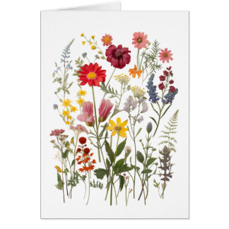 Wildflower Wenskaart All Occasion Blank