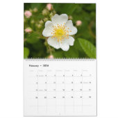 Wildflower Wonders – A Year of Natural Beauty Kalender (Feb 2026)
