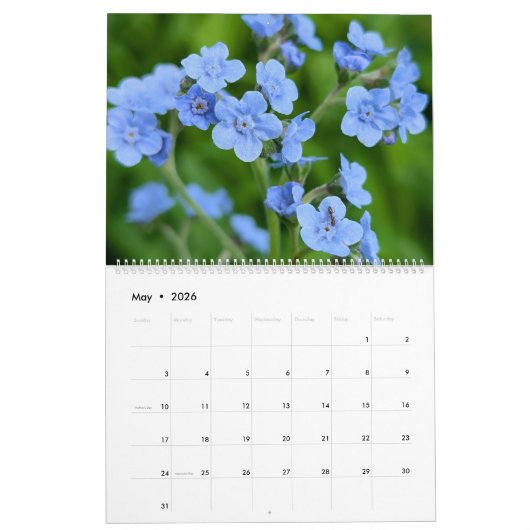 Wildflower Wonders – A Year of Natural Beauty Kalender (Mei 2026)