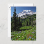 Wildflowers at Mount Rainier Briefkaart (Voorkant / Achterkant)