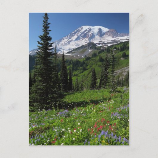 Wildflowers at Mount Rainier Briefkaart (Voorkant)