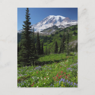 Wildflowers at Mount Rainier Briefkaart