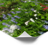 Wildflowers at Mount Rainier Perfect Poster (Hoek)