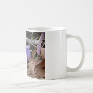 WildFlowers Birds-Foot Violet Hot Springs AR Gifts Koffiemok
