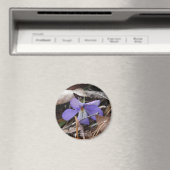 WildFlowers Birds-Foot Violet Hot Springs AR Gifts Magneet (Insitu (Vaatwasser))