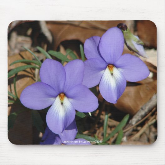 WildFlowers Birds-Foot Violet III Gifts & Apparel Muismat (Voorkant)