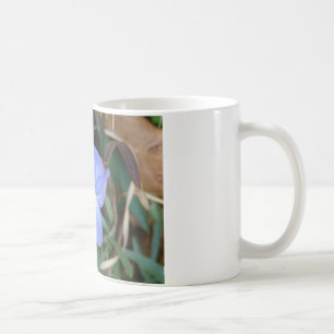 WildFlowers Birds-Foot Violet IV Hot Springs Gifts Koffiemok