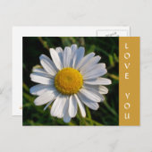 WILDFLOWERS BRIEFKAART (Voorkant / Achterkant)