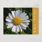 WILDFLOWERS BRIEFKAART (Voorkant)