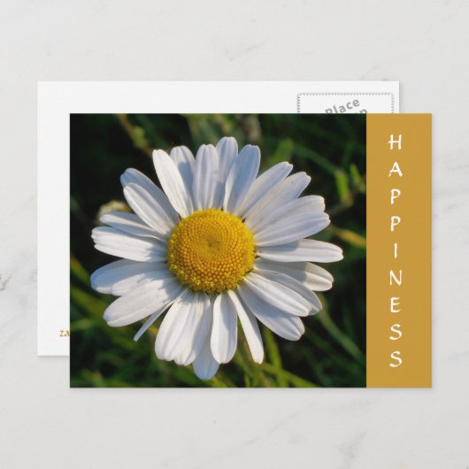 WILDFLOWERS BRIEFKAART (Voorkant / Achterkant)