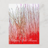 WILDFLOWERS BRIEFKAART (Voorkant)