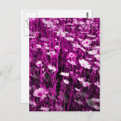 WILDFLOWERS BRIEFKAART (Voorkant / Achterkant)