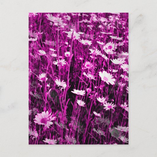 WILDFLOWERS BRIEFKAART (Voorkant)