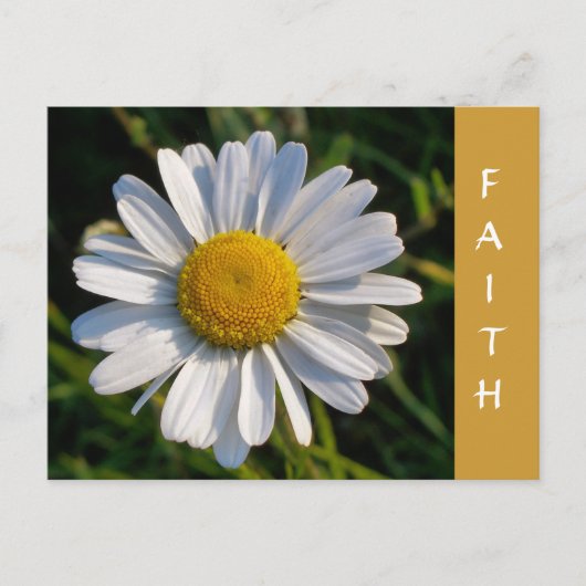 WILDFLOWERS BRIEFKAART (Voorkant)