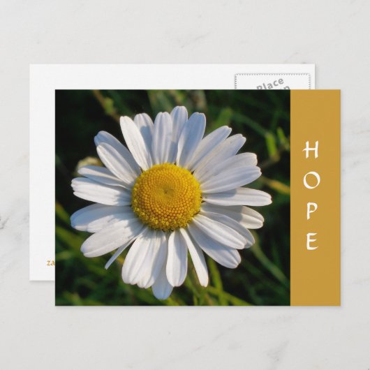 WILDFLOWERS BRIEFKAART (Voorkant / Achterkant)