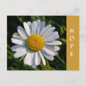 WILDFLOWERS BRIEFKAART (Voorkant)