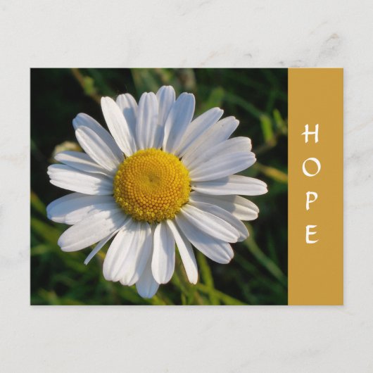 WILDFLOWERS BRIEFKAART (Voorkant)