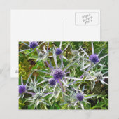 WILDFLOWERS BRIEFKAART (Voorkant / Achterkant)