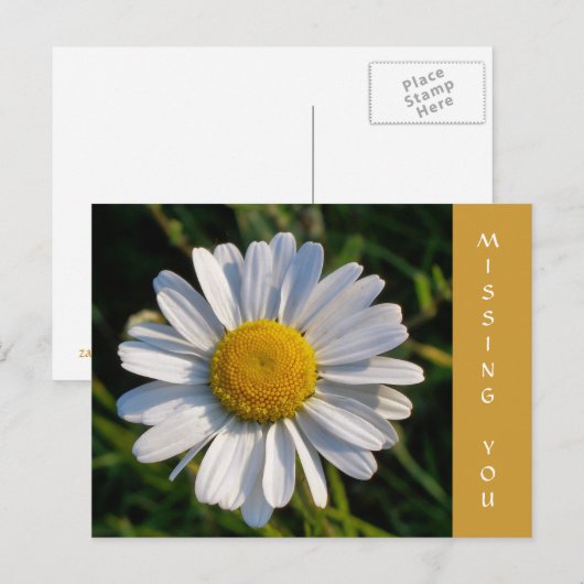 WILDFLOWERS BRIEFKAART (Voorkant / Achterkant)