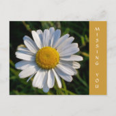 WILDFLOWERS BRIEFKAART (Voorkant)